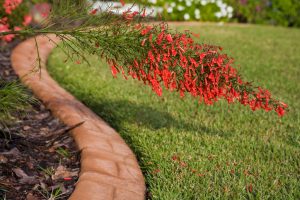 3 Factors to Consider When Choosing Landscaping Edging for Your Construction Site